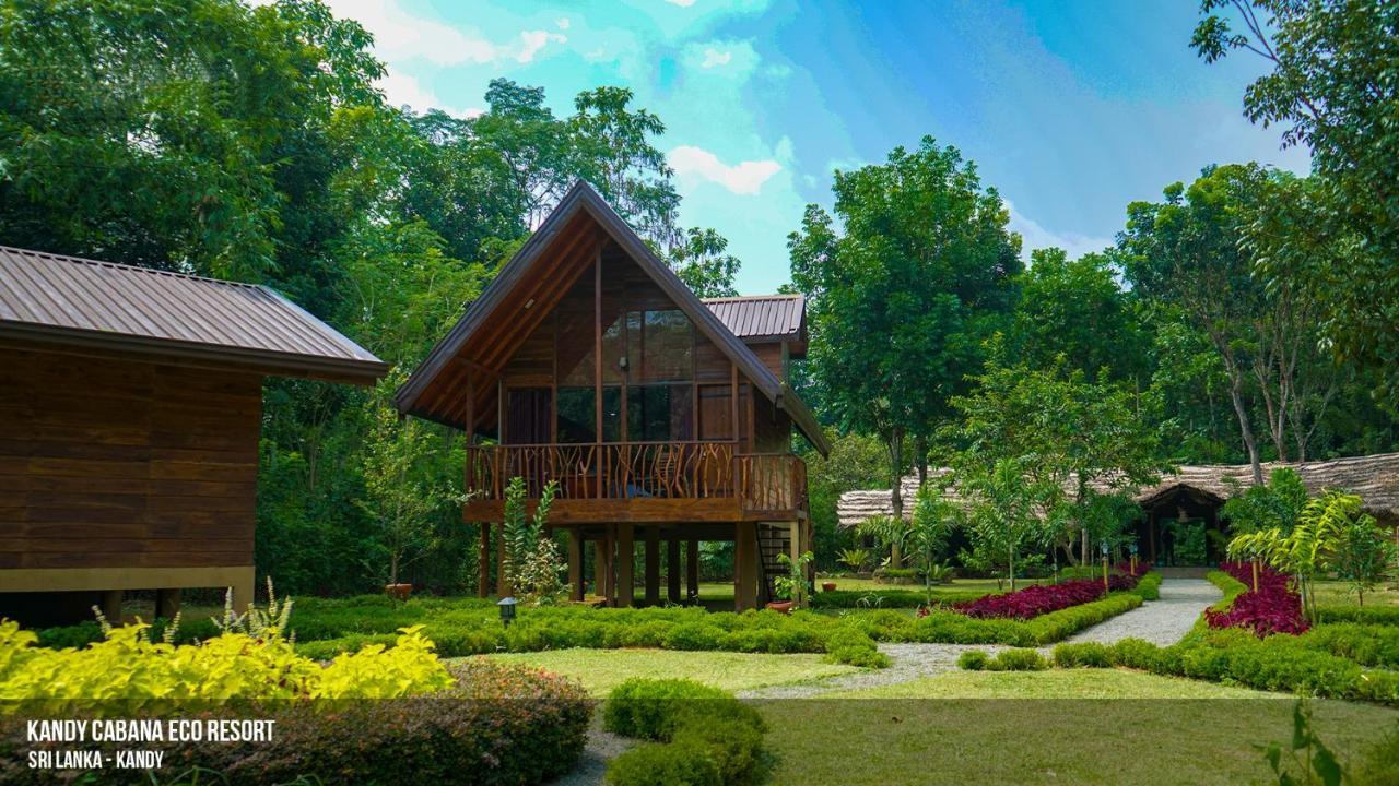 Guest house Kandy Cabana 3*